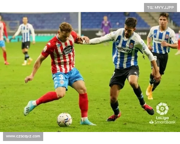 马卡贝蒂斯主场改造施工时间调整 以保护雨燕筑巢为优先考虑