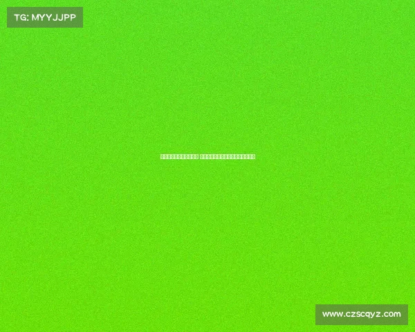 欧罗巴联赛引入门线技术 所有比赛场地统一安装助力公平竞赛